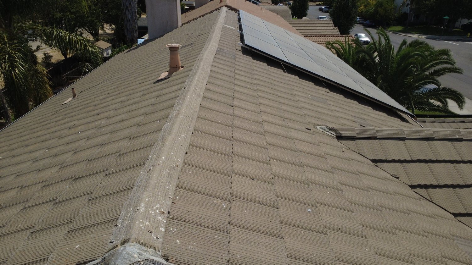 Rooftops and tree canopy