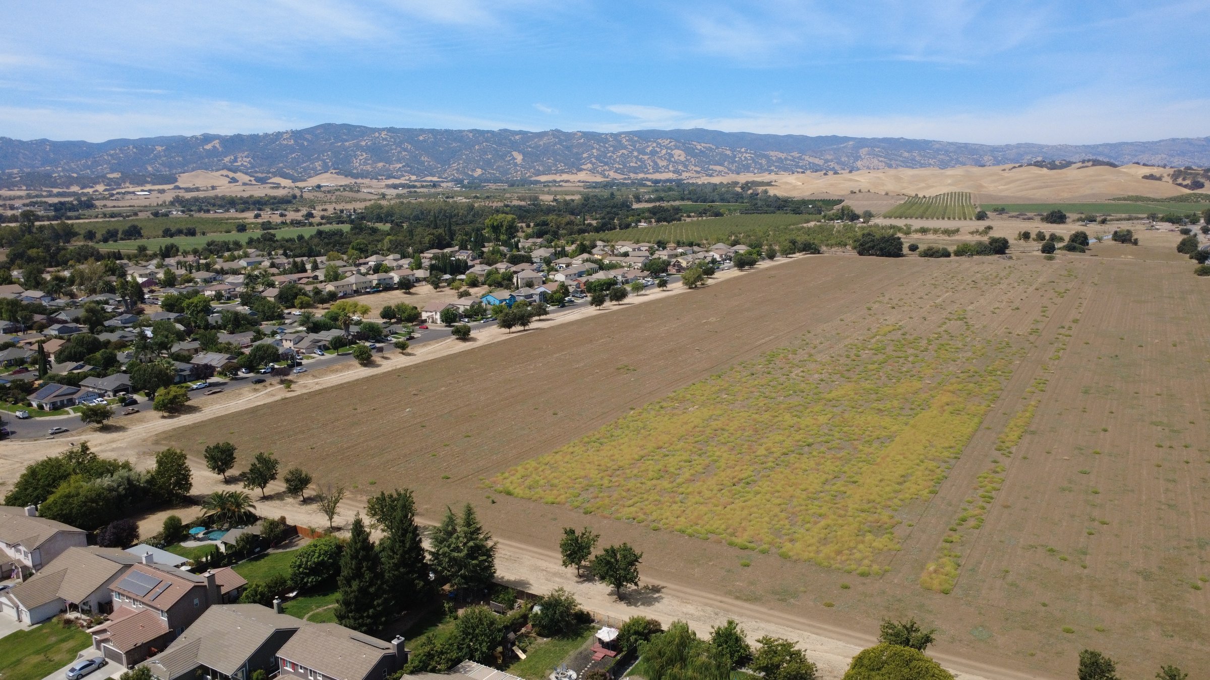 Aerial view of the Capay Valley — farmland, vineyards, and the western ridgeline above Esparto